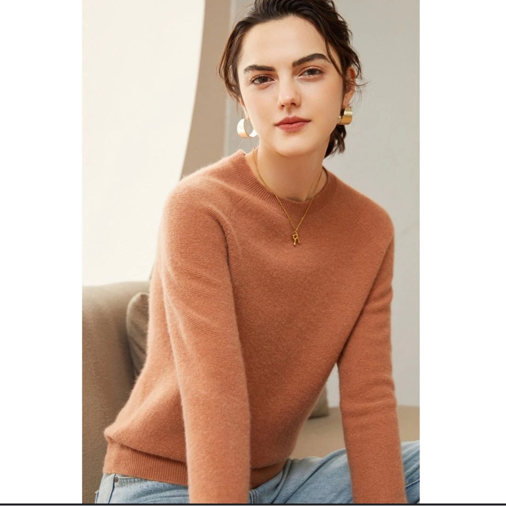 Everlane Women's Crewneck cashmere Sweater in camel